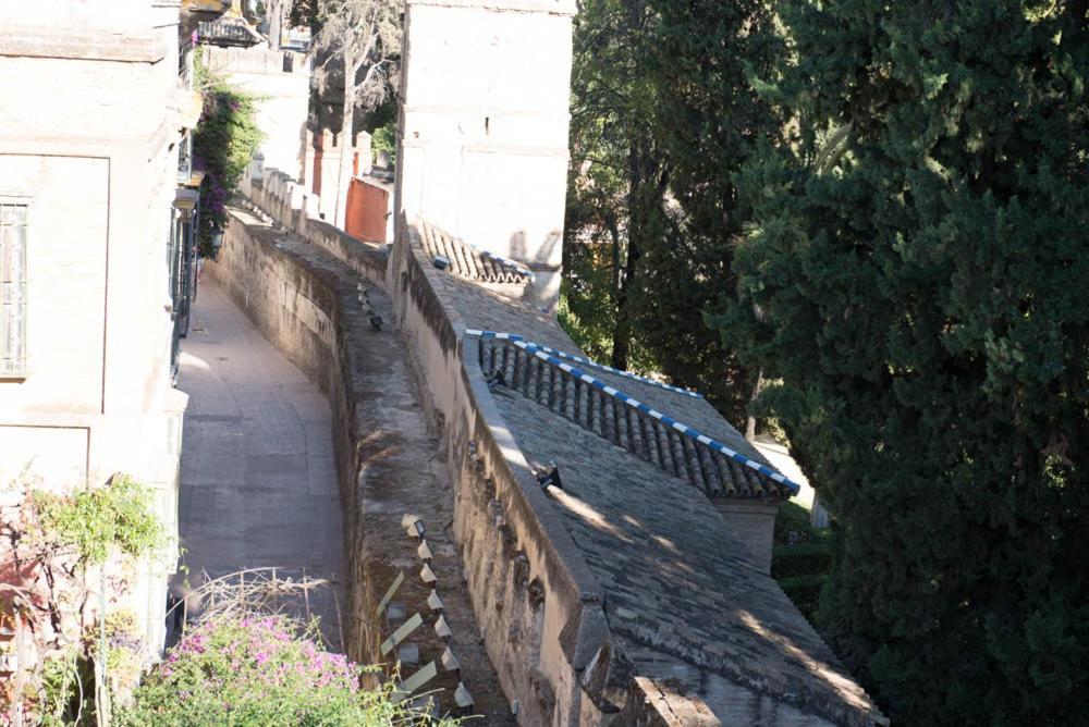Apartamento Casa Callejon Del Agua Sevilla Exterior foto